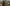 Tactical Scorpion Gear Muircat plate carrier buy