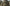 Shellback Tactical Skirmish plate carrier buy