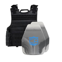 Thumbnail for The Caliber Armor AR550 III+ VISM Expert 8x10 Body Armor Package by Caliber Armor is shown with a black plate carrier behind two silver armor plates featuring a blue 