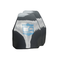 Thumbnail for Two Caliber Armor AR550 III+ multi-curve body armor plates, black and rectangular with beveled edges and a blue shield logo, are displayed standing upright against a white background. Set includes two plates.