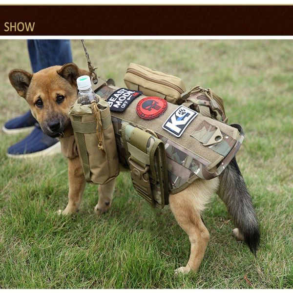 A dog outfitted with a Tactical Scorpion Gear vest carrying supplies, including a water bottle.