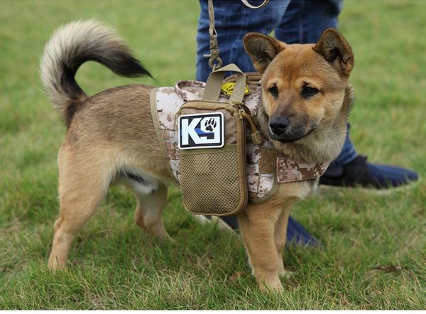 A dog wearing a Tactical Scorpion Gear D2 Compact Canine Dog K9 Camo MOLLE Military Training Vest Harness with a pouch standing on grass.