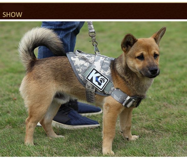 A dog wearing a Tactical Scorpion Gear D3 Small Canine Dog K9 Camo MOLLE Training Vest Harness stands on a grassy field with a person partially visible in the background.