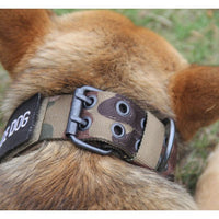 Thumbnail for Close-up of a Tactical Scorpion Gear dog collar with 