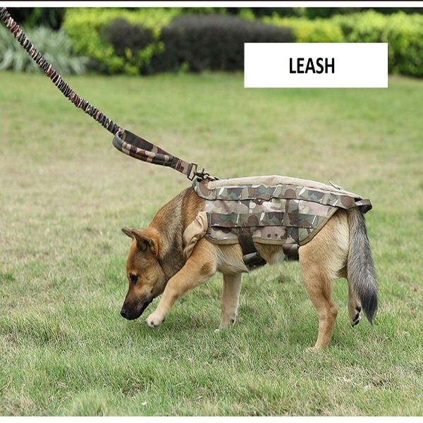 A dog in a camouflage coat on a Tactical Scorpion Gear - Leash Canine Dog K9 Camo Military Training Vest Harness sniffs the ground.