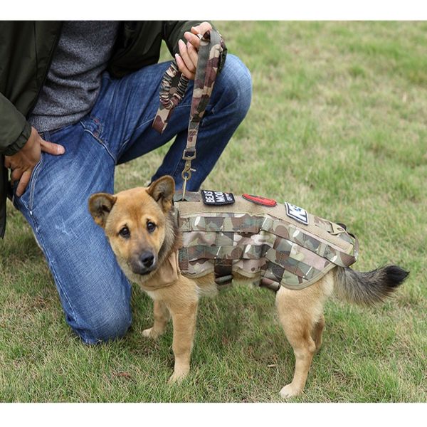 A small dog wearing a Tactical Scorpion Gear - Leash Canine Dog K9 Camo Military Training Vest Harness stands beside a person holding its tactical dog leash.