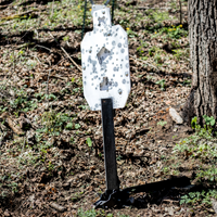 Thumbnail for triple-threat-reactive-target-practice