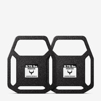 Thumbnail for A pair of AR500 Armor Weighted Training Plates on a white background.