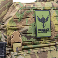 Thumbnail for The back of a Shellback Tactical Rampage 2.0 Plate Carrier with a skull and crossbones patch.