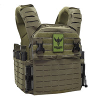 Thumbnail for A Shellback Tactical Banshee Elite 3.0 Plate Carrier with a green logo on it.